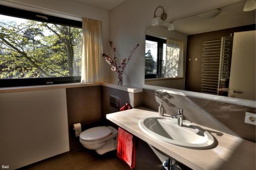 奥斯赛拜-塞林Ferienhaus Sonnensteg 23的一间带水槽和卫生间的浴室以及窗户。