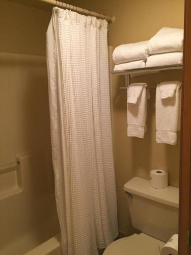 莱文沃思林德霍夫酒店的带淋浴帘和卫生间的浴室