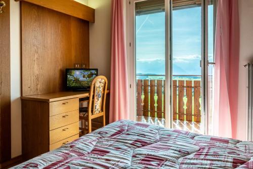 马洛斯科艾尔伯格布坎伊乌酒店的一间卧室配有一张床、一张书桌和一个窗户。