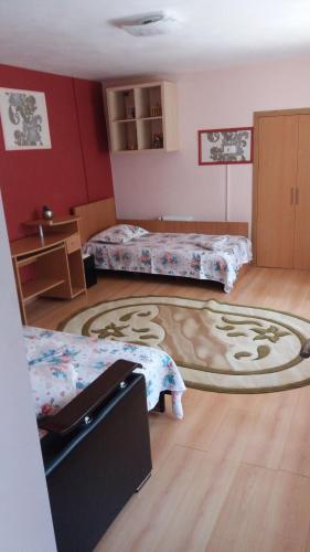 南埃福列garsoniera Ștefi的一间设有两张床的客房,铺有地毯。