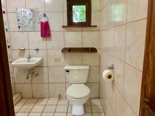 莫约加尔帕Hospedaje Soma Ometepe Hotel的一间带卫生间和水槽的浴室