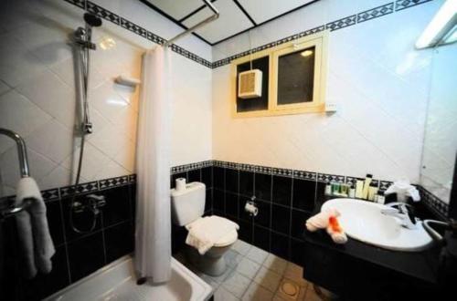 沙迦Al Sharq Hotel Suites - BAITHANS的一间带水槽、卫生间和淋浴的浴室
