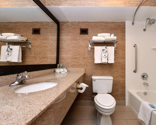 弗拉格斯塔夫弗拉格斯塔夫智选假日酒店的浴室配有盥洗盆、卫生间和浴缸。