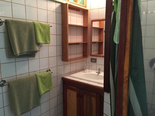 CastaraAlibaba‘s Seabreeze的浴室设有水槽、镜子和绿色毛巾