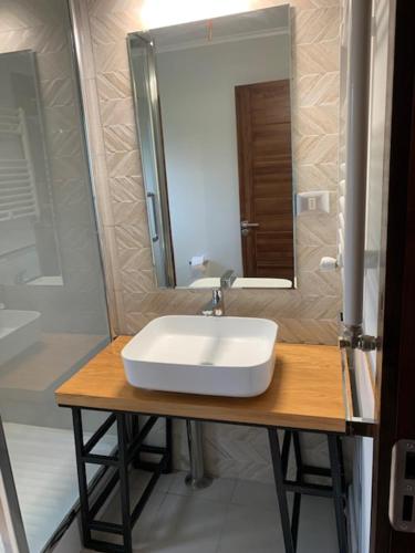 拉恩塞纳达Casa Familiar Puerto Varas的浴室设有白色水槽和镜子