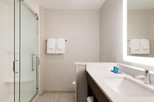 辛辛那提辛辛那提东北红岸路智选假日酒店的一间带水槽和淋浴的浴室