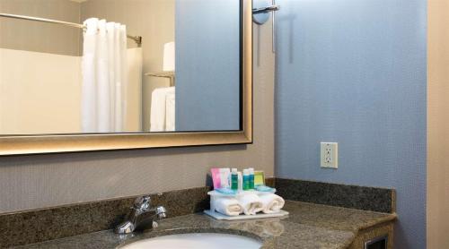 丹维尔丹维尔套房智选假日酒店的一间带水槽和镜子的浴室