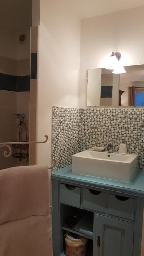 蒙利沃Chambre d'hôte Montlivault / Chambord的一间带水槽和镜子的浴室