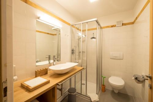 富内斯Art Apartment Schatzer的一间带水槽和卫生间的浴室