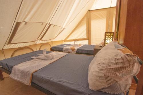 CarmenThe Acacia Glamping Park的帐篷内的两张床和毛巾