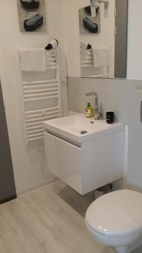 Chambre spacieuse, moderne et très confortable à Perros-Guirec的一间浴室