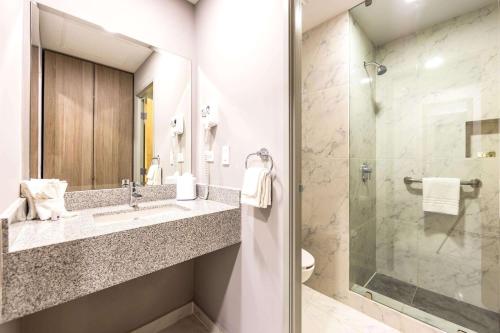 埃莫西约Comfort Inn Hermosillo Aeropuerto的一间带水槽和淋浴的浴室