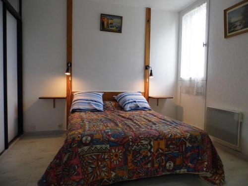 Nouan-le-FuzelierLe Petit Marais n1的一间卧室配有一张带彩色毯子的床