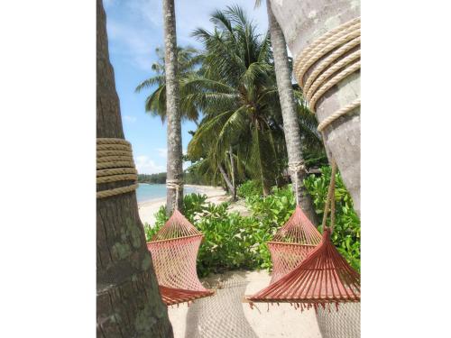 麦岛科马克塞瓦纳沙滩度假酒店的棕榈树海滩上的吊床