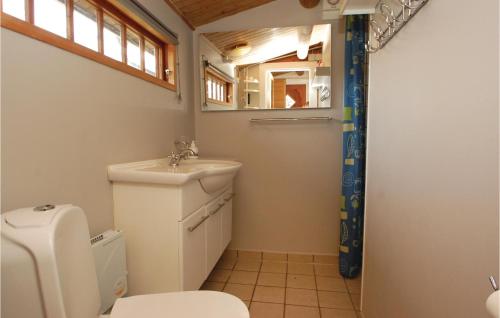 海耶斯格尔斯特朗赫吉尔十号度假屋 的一间带卫生间、水槽和镜子的浴室
