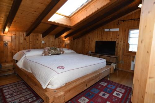 SavièseChalet Mon Rêve的小屋内一间卧室配有一张床和电视