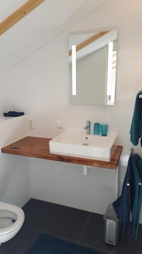 罗登Studio de Kaap的一间带水槽、镜子和卫生间的浴室