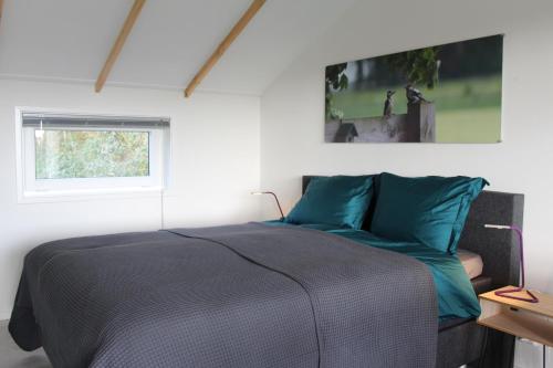 罗登Studio de Kaap的一间卧室配有一张带蓝色床单的床和一扇窗户。