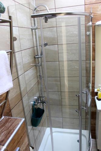 萨拉热窝Stan na dan, Sarajevo的浴室里设有玻璃门淋浴