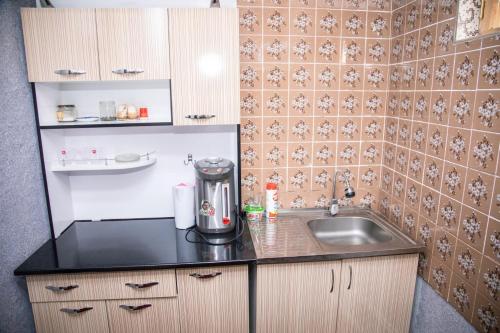 Apartment Registan的厨房或小厨房