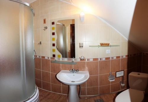 斯拉夫西克Шале Карпатська Казка的一间带水槽和镜子的浴室