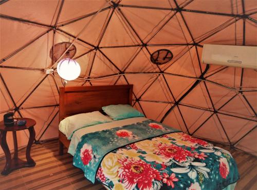 洛佩斯港Nativa Whale Domes的三角形客房中一间带一张床的卧室