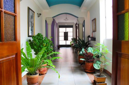 波哥大Casa Morisca/Moorish House的一条充满了许多盆栽植物的走廊