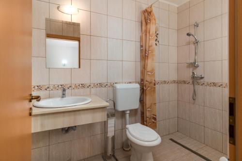 百乐费利克斯Vila Izvor的浴室配有卫生间、盥洗盆和淋浴。