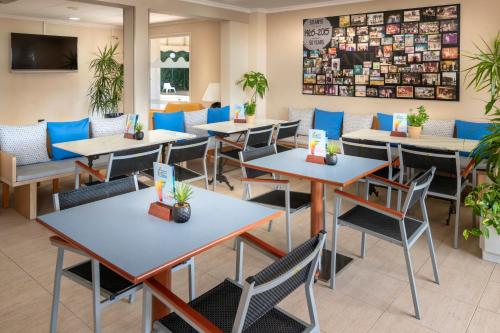 皮内达德马尔索拉伯纳酒店的用餐室配有桌椅