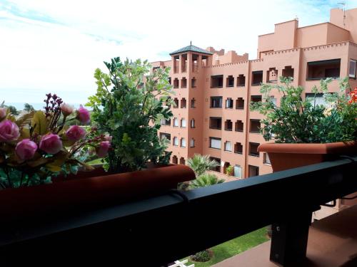 卡内拉岛Apartamento Playa Verde的种植了盆栽植物的阳台和一座建筑