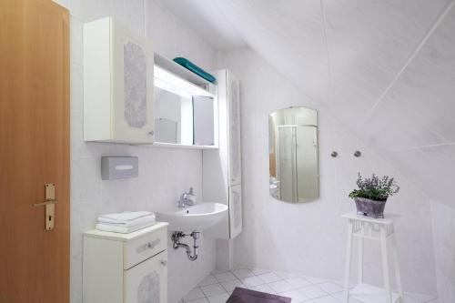 滕普林Hotel garni "Zum Eichwerder"的白色的浴室设有水槽和镜子