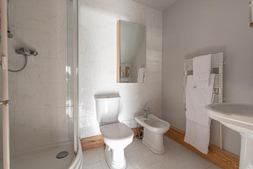 LlandegfanCoed y Berclas guest room, wonderful view的浴室配有卫生间、盥洗盆和淋浴。