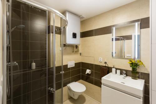 斯托泽克Apartmány Stožec - Nella Premium的带淋浴、卫生间和盥洗盆的浴室