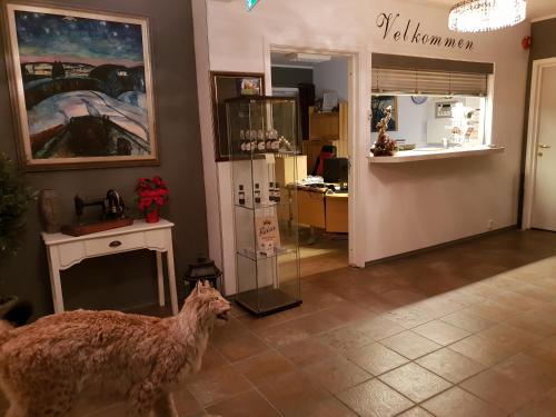 索克约森Henriksen Gjestestue的狗站在一间有商店的房间