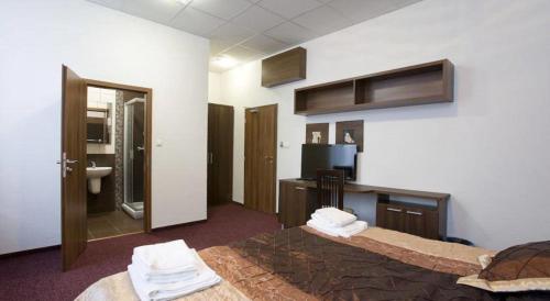 塞尼察Garni Hotel Branč的一间酒店客房 - 带一张床和一间浴室