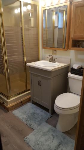 索尔多特纳南崖住宿加早餐旅馆的浴室配有卫生间、盥洗盆和淋浴。