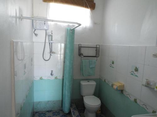 Rodrigues IslandLe Paradiso Apartments的带淋浴、卫生间和盥洗盆的浴室