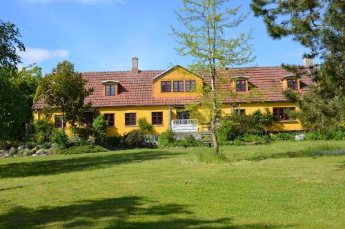 博雷Havehøjegaard的一座带庭院的大型黄色房屋