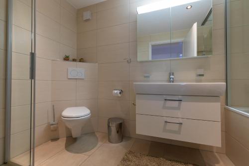 维尔德斯韦尔Chalet Gousweid- Mönch Apartment的一间带卫生间、水槽和镜子的浴室