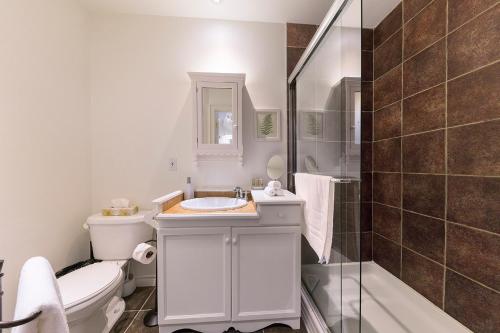 魁北克市Les Immeubles Charlevoix - Le Perchoir 1018的浴室配有卫生间、盥洗盆和淋浴。