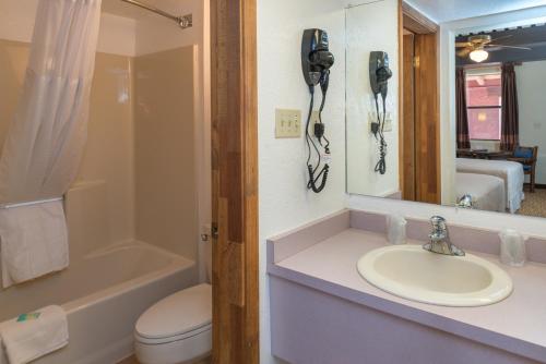 钦利雷鸟酒店的一间带水槽和卫生间的浴室以及一部电话