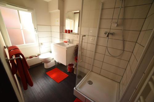 科尔马Gite Bim Maidala的一间带卫生间和淋浴的小浴室
