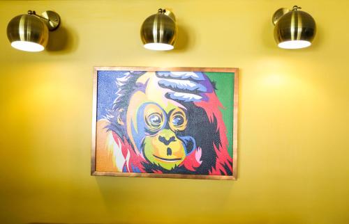 帕罗New National Hotel and Conference的挂在墙上的猴子画