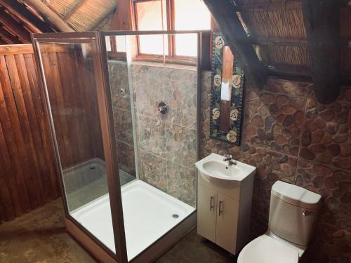 贝拉贝拉Makhato Bush Lodge 111的带淋浴、卫生间和盥洗盆的浴室