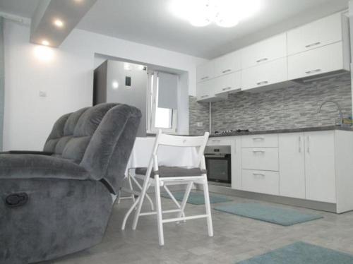 特尔戈维什泰Apartament Sarra的带沙发和椅子的客厅以及厨房。