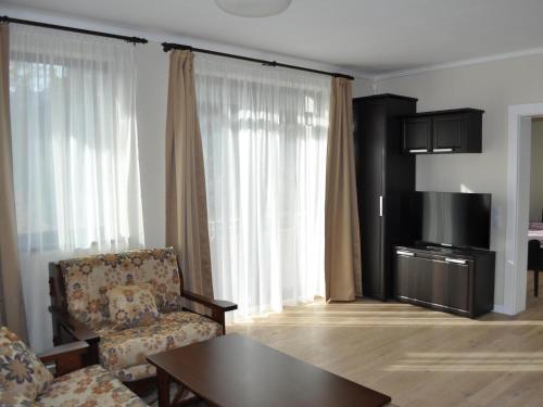 格绍特兰西瓦尼亚公寓及Spa的带沙发、椅子和电视的客厅
