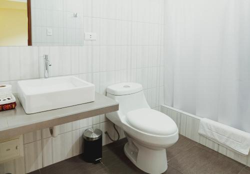 瓦努科Mauri的白色的浴室设有卫生间和水槽。