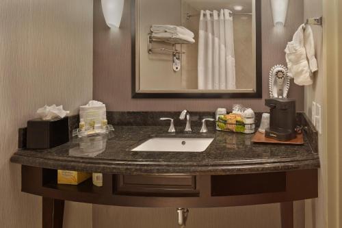 杰克逊维尔杰克逊维尔E 295海湾牧场假日酒店的一间酒店客房内带水槽的浴室