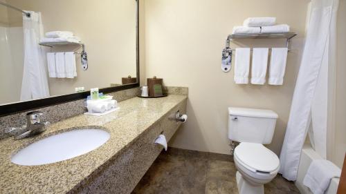 詹姆斯镇詹姆斯敦智选假日酒店的一间带水槽、卫生间和镜子的浴室