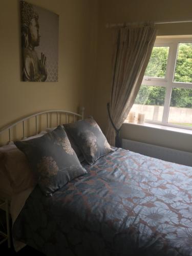 戈尔韦Tara Lodge Galway的卧室配有枕头,设有窗户